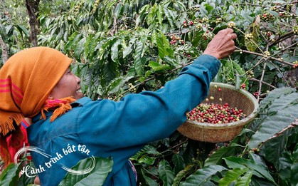 Vì sao người nước ngoài yêu mến người Việt Nam: Câu trả lời có thể khiến bạn bất ngờ