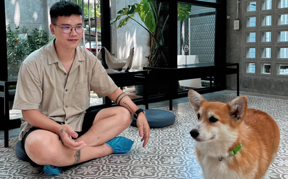 Sếp xây văn phòng như nơi triển lãm, mang thú cưng đến cho nhân viên vừa làm vừa chơi
