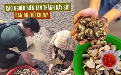 Trải nghiệm cào nghêu ở biển Tân Thành đang “gây sốt”