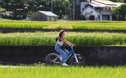 Cố vấn cựu Thủ tướng Anh đưa ra 7 chìa khóa giúp con người bước vào cánh cửa hạnh phúc