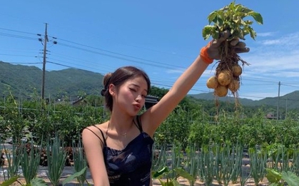 "Vạch mặt" các thực phẩm chứa chất cực độc, là "sát thủ" thầm lặng trong nhà bếp nhưng ít ai chú ý