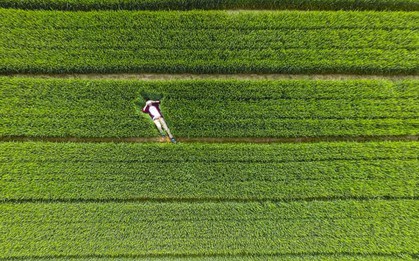 Nhìn thế giới qua con mắt của một "chú chim": Vô cùng tuyệt mỹ và choáng ngợp!