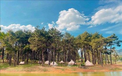 Giải thưởng quốc tế -  khẳng định thương hiệu điểm đến du lịch Việt Nam