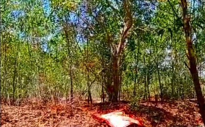 Hai vợ chồng trẻ tử vong bất thường trong rẫy