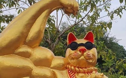 Muôn kiểu linh vật mèo "khác thường" chào xuân Quý Mão 2023
