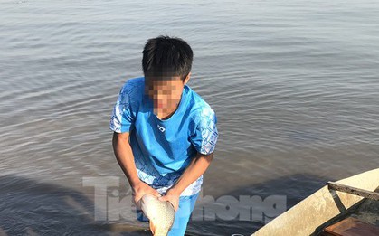 Hà Nội: Cúng ông Táo, 9 con cá chép vừa thả xuống sông bị thả lưới bắt lại 8 con