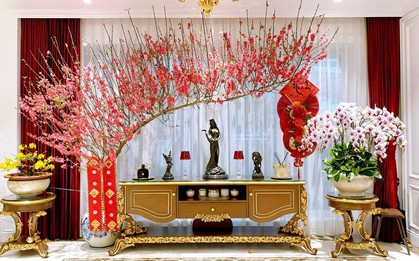 Phong thủy cây cảnh ngày Tết: Kiêng kỵ những điều này giúp gia chủ vận đỏ như son, may mắn gõ cửa cả năm tới
