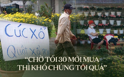 Chợ hoa xuân hạ giá rẻ như cho vẫn ế: “Xin đừng chờ tới tối 30 Tết mới mua hoa…”