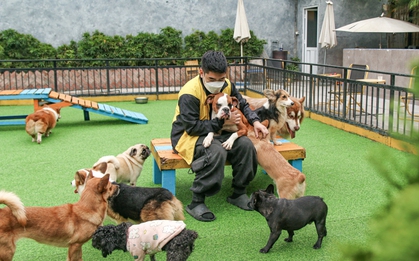 Khách sạn thú cưng "cháy phòng" dịp Tết