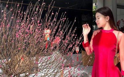 Dàn WAGs Việt diện đẹp chơi Tết: Yến Xuân vừa sexy vừa truyền thống, vợ Quế Ngọc Hải ấn tượng với "outfit bỉm sữa"