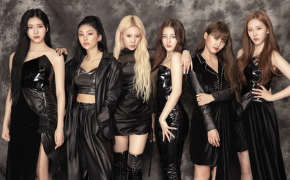 Toàn bộ thành viên MOMOLAND không tái ký hợp đồng với công ty quản lý sau 7 năm gắn bó