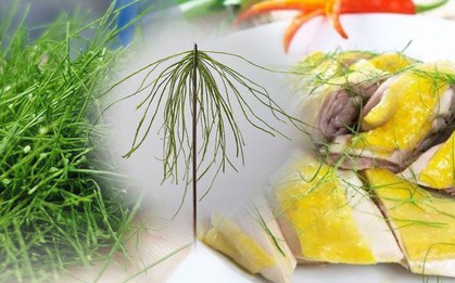 Mở màn bí kíp dịp Tết đến: Trend thái lá chanh sợi chỉ mỏng đến nỗi xỏ được cả kim khiến dân mạng trầm trồ