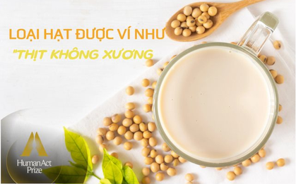 Một loại hạt giàu dinh dưỡng được ví như “thịt không xương”: Ở Việt Nam có một thương hiệu quốc gia, nỗ lực hơn 1 thập kỷ để phát triển bền vững vùng nguyên liệu