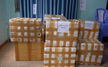 VIDEO: Bên trong các thùng "khô cá dứa" Công an TPHCM vừa phát hiện