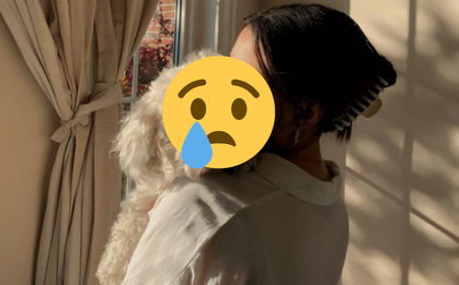 Cô gái bức xúc tố nơi trông giữ làm chết cún khi mới gửi 1 ngày, chủ cơ sở nói gì?
