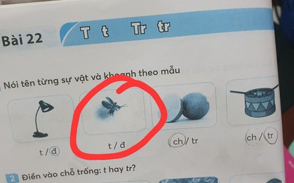 Bức ảnh trong vở bài tập tiếng Việt của học sinh lớp 1 gây tranh cãi: Đây là con gì?