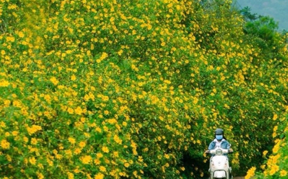 Những điểm đến mang đậm sắc thu tại Việt Nam
