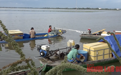 Lũ sắp đạt đỉnh, người dân miền Tây tất bật đánh bắt cá