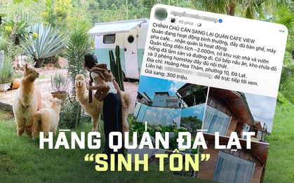 Đà Lạt vắng khách, nhiều hàng quán đóng cửa hoặc sang nhượng, có nơi thay đổi mô hình kinh doanh để "sinh tồn"