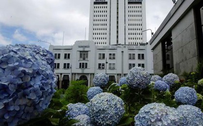 Vụ "cướp" ngân hàng cực lớn không thể tin nổi ở Costa Rica