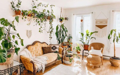 3 kiểu vườn trong nhà thành thị mà ai nhìn cũng mê, phù hợp với cả căn hộ có diện tích nhỏ