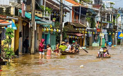 Thấy thành phố ngập mà thương!