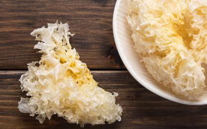 Loại nấm giống như “tổ yến” có tác dụng dưỡng nhan và phòng chống được nhiều bệnh