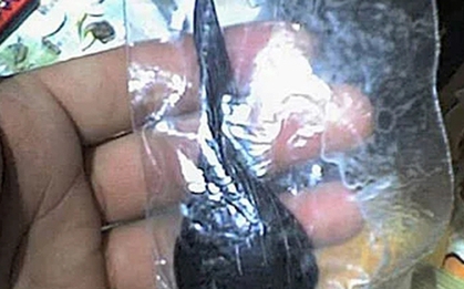 Hai người ngộ độc nặng sau khi ăn mật cá trắm để bồi bổ