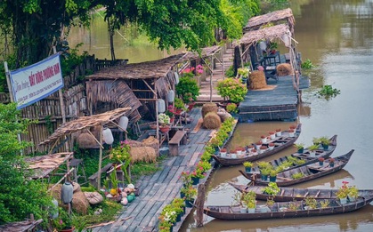 Về An Giang ghé rừng tràm lớn nhất miền Tây - nơi được coi là "nguồn cảm hứng" mới của giới làm phim Việt
