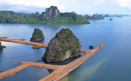 Lấp vùng đệm vịnh Hạ Long làm biệt thự, nhà liền kề: Chủ đầu tư để bùn đất trôi tự do ra vịnh