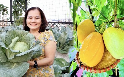 "Khu vườn trên mây" ngốn bạc tỷ của cô giáo Hà Nội: Rau trái đắt hơn vàng, là không gian chữa lành