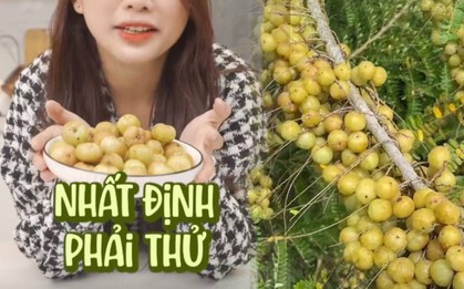 Loại quả dại có tên gọi "khổ trước sướng sau" gây bão chợ mạng, dân tình không ngại chi giá cao tìm mua bằng được
