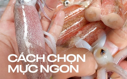 3 cách phân biệt mực tươi và mực đông lạnh, dân sành ăn mới biết