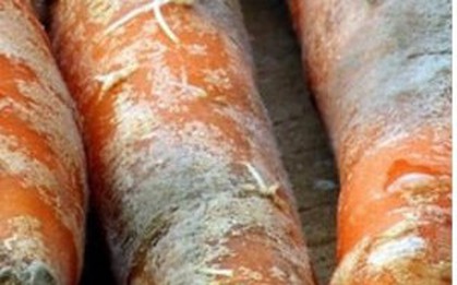 8 thực phẩm không tốt cho gan bạn nên tránh xa