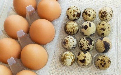 Loại trứng quen giá rẻ có cholesterol thấp hơn trứng gà, tăng gấp 3 lần trao đổi chất và bảo vệ mạch máu hiệu quả