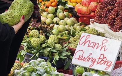 Giá chanh Quảng Đông - Trung Quốc lao dốc theo trend trà chanh giã tay