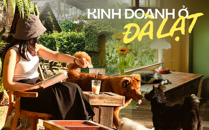Kinh doanh ở Đà Lạt 2023: Homestay không có khách trong cả tháng, có tiệm cắt giảm toàn bộ nhân viên để “sống sót”