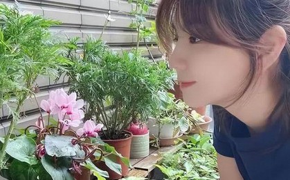 Khi trang trí ban công, đây là 5 điều bạn nên làm và 6 điều không nên làm