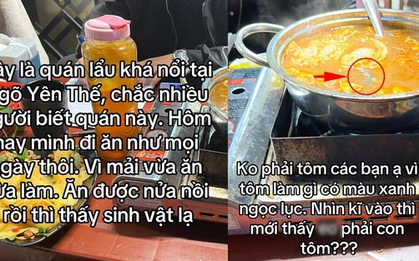 Xôn xao quán vỉa hè nổi tiếng ở Hà Nội bị thực khách phát hiện có rết trong nồi lẩu