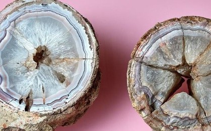 Viên đá mã não được giữ như báu vật 140 năm, nhân viên bảo tàng ngã ngửa khi biết là trứng "quái thú"