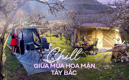 Rủ nhau đi cắm trại giữa vườn mận rực nở ở Mộc Châu
