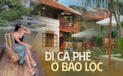 Các quán cà phê ở Bảo Lộc bắt đầu rộ lên: Cũng nằm giữa rừng núi, đầy góc "sống ảo" nhưng lại rất yên bình
