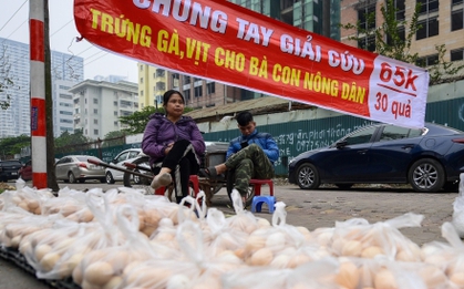 Cục trưởng Cục chăn nuôi: Giá trứng gà giảm nhưng chưa đến mức phải ''giải cứu''