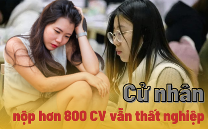 Cử nhân lên mạng "than thở" vì nộp 800 đơn xin việc, 30 lần phỏng vấn vẫn thất nghiệp: Do thị trường quá khắc nghiệt hay bản thân chưa đủ xuất sắc?