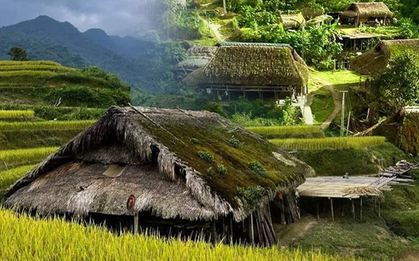 Cứ ngỡ trong truyện cổ tích nhưng những mái nhà phủ rêu ngoài đời thật lại ở ngay vùng đất gây thương nhớ của Việt Nam