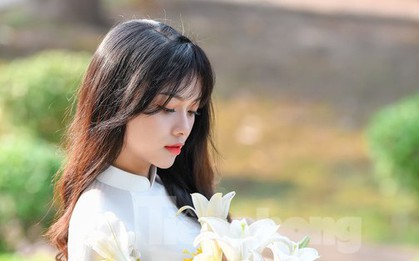Hoa loa kèn xuống phố dịu dàng tinh khôi gọi tháng tư về