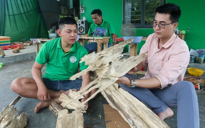 Quảng Nam: Vỡ nợ vì 3 lần khởi nghiệp thất bại, ôm nợ 200 triệu, chàng trai về quê tìm "vàng" trong thân cây rồi đổi đời từ đó