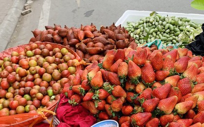 Hà Nội: Hoa quả đặc sản tưởng rẻ hóa đắt, loại đắt giá lại rẻ không tưởng