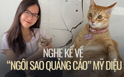 Chủ nhân chú mèo Mỹ Diệu lần đầu xuất hiện "thanh minh" về dáng ngồi bầy hầy của hoàng thượng gây bão khắp mạng xã hội