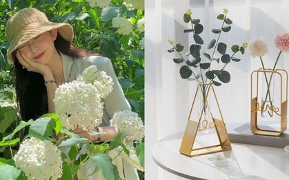 Hô biến góc nhà thành studio "dễ như ăn kẹo" với 5 item vừa chất lượng vừa "nhẹ ví"